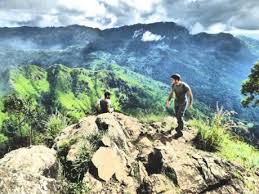 Well, we've got some answers. Ella Rock Hike The Complete Step By Step Guide Nomadic Boys