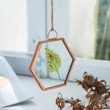We did not find results for: Buy Ncyp Hanging Small Pink Hexagon Herbarium Copper Glass Frame For Pressed Flowers Dried Flowers Poster Double Glass Floating Frame Style Glass Frame Only Online In Indonesia B07z4x616d
