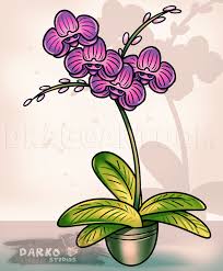 Sketch three large ovals near the small oval center. Drawing An Orchid Step By Step Drawing Guide By Dawn Dragoart Com
