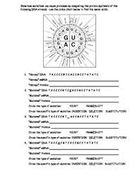 genetic mutations worksheet using a codon chart