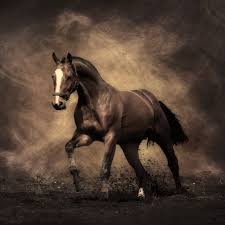 Running Horse Ipad Wallpaper Hd Horse Wallpaper Horses Horse Painting