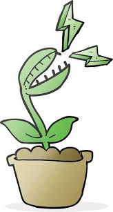 Venus fly trap images cartoon. Cartoon Venus Fly Trap Clipart 1 566 198 Clip Arts