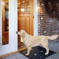 Brick doggy is a common pet inside the toy land. 31 Of The Best Pet Care Products