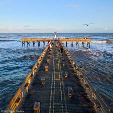 Maybe you would like to learn more about one of these? Galveston Com Galveston Fishing Pier Pier Fishing Galveston Galveston Bay
