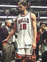 Pau gasol saez was born on july 6, 1980, at the 'sant pau hospital,' barcelona, spain. Pau Gasol Wikipedia