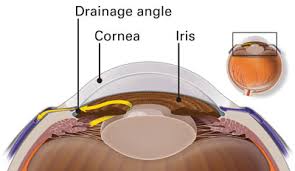 Image result for Intraocular Pressure