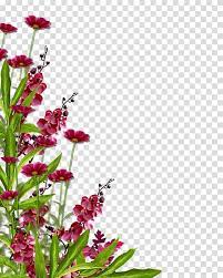 Maybe you would like to learn more about one of these? Flower Garden Flower Transparent Background Png Clipart Png Free Transparent Image