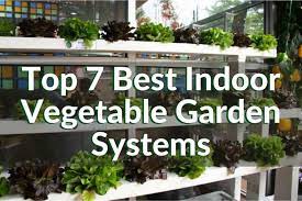That means they should last for a long time if you choose a reputable manufacturer and a reliable product. Indoor Vegetable Garden Systems Top 7 Indoor Gardening