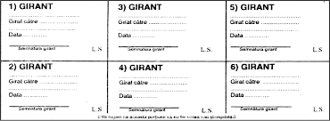 Un bilet la ordin trebuie să conțină următoarele: Https Comunicarelibera Files Wordpress Com 2016 10 Instrumente De Plata Pdf