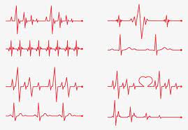 Vector Red Heartbeat Png Free Download Heartbeat Tattoo Compass Tattoo Design Ecg Tattoo