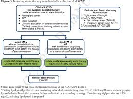 2013 Acc Aha Guidelines For Blood Cholesterol Management