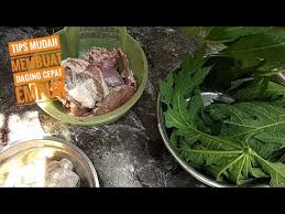 Masak kembali dengan rice cooker selama 10 menit. Cara Melunakkan Daging Sapi Cara Membuat Daging Empuk Dan Lunak Bikin Empuk Daging Sapi Youtube