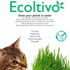 The grains for cat grass are planted very close to each other (intentional overcrowding), allowing them to grow only for a short while befor the. Cat Grass Hydroponics Planting Set Smart Garden Ecoltivo Greenpicks