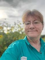 Welcome to the NAGT webinar series Improving Earth education one hour at a  time