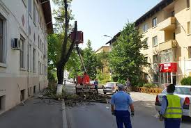 Cutremurat, sultanul, se trezeşte şi interpretează visul ca trimis de profet. Copaci TÄƒiaÈ›i Pe Strada Mihai Eminescu Campina Tv