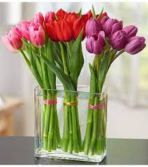 Check spelling or type a new query. Modern Tulips For Your Valentine Arrangement In Croton On Hudson Ny Cooke S Little Shoppe Of Flowers