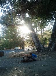 Make a reservation for o'neill regional park. Pin On Home