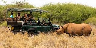 Tanzania Safari: 1-Day Mkomazi Nationa ...