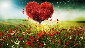 1920x1080 Love Heart Beautiful Wallpapers