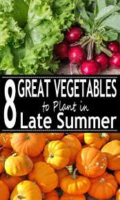 Plants require a support structure to. 8 Great Vegetables To Plant In Late Summer Are Just The Thing For A Garden That Will Keep On Summer Vegetables Garden Summer Flowers Garden Growing Vegetables