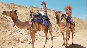 All tour minimum 2 persons. Bali Camel Safari