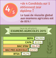 Les résultats du baccalauréat seront diffusés dans chaque académie et chaque ville dès leur publication par le ministère de l'education nationale. Resultats Bac Techno Stav 2021