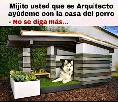 Pin En Memes