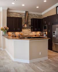Kitchen Remodel Darkcabinets Transitional Contemporary Stainless Steel Appliances Hood Ba Farm House Living Room Living Room Warm Open Concept Kitchen