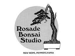A beloved figure who dedicated her life to promoting the art of bonsai, soli was born in colombia, south america, but left at an early age to be educat Rosade Bonsai Studio