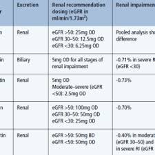 Renal Safety Of Newer Medications Practical