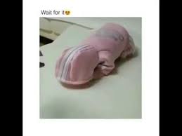 Welcome back to thekaula youth. Status Wa Yang Ngagetin Youtube