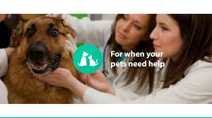Vision care, veterinary, dentistry, cosmetic treatments, physician. Care Credit
