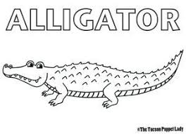 Alligator coloring pages they may look the same but alligators are actually different from crocodiles. Free Alligator Puppet Coloring Pages Blog Coloring Pages House
