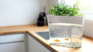 May 09, 2020 · water for about 6 seconds per plant. Self Watering Herb Kits Mini Herb Garden