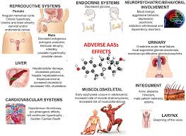 A steroid is a type of organic compound that contains a characteristic arrangement of four cycloalkane rings that are joined to each other. Frontiers Anabolic Androgenic Steroids Searching New Molecular Biomarkers Pharmacology