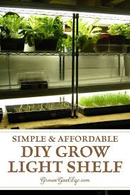 From growing exotic flowers, plant propagation, seedling transplanting, food production using indoor hydroponics, aquaponics or aeroponics techniques, insect cultivation and even growing chickens. Build A Grow Light System For Starting Seeds Indoors Growing Plants Indoors Growing Food Indoors Indoor Grow Lights