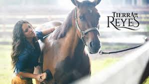 Encuentra todas las noticias y los vídeos de la serie tierra de reyes. Ist Tierra De Reyes Season 1 2014 Auf Netflix Schweiz