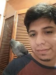 預訂Jardines Alcalde最佳評論的遛狗保姆