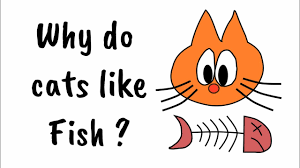 See more pictures of cats. Why Do Cats Like Fish Youtube