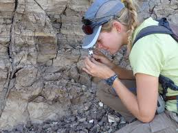 Using radiometric dating, scientists can determine the actual age of a rock. How Do Scientists Date Fossils At The Smithsonian Smithsonian Magazine