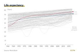We did not find results for: Graphics Why China Plans To Raise Retirement Age Cgtn