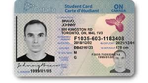 Yes, the cards are easy to fake, but when it comes to faking the information behind them that is not easily done. Canfakes Com Buy Canadian Novelty Fake Id For 69