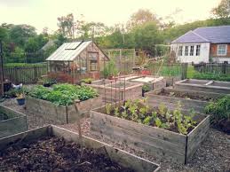 Butterflies Swallows And A Little Bit Of Patience Small Vegetable Gardens Building A Raised Garden Garden Layout