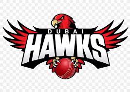 Vector + high quality images. Illawarra Hawks Wollongong Logo Brand Png 1280x904px Illawarra Hawks Area Atlanta Hawks Beak Brand Download Free
