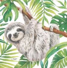 Towel 33x33 Lazy Monkey In The Rainforest Sloth Drawing Sloth Art Animal Paintings