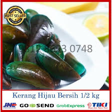 Makanan lobster air tawar infoikan.com sudah tahu pakan lobster air tawar agar cepat besar? Jual Promo Kerang Ijo 1 Kg Kerang Hijau Kijing Kerang Hijau Besar Jakarta Utara Rumah Salmon Tokopedia
