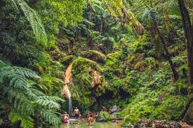 Best rates at azor hotel, book now online or by phone. The Azores Europe S Secret Paradise