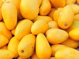 Applies to items from the mango spring/summer'21 collection, whose references start with an 8. 7 Amazing Health Benefits Of Mangoes Read To Know