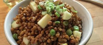 wheat berry lentil salad