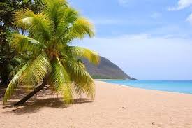 Guadeloupe L Ile Aux Belles Eaux Guadeloupe Voyage Guadeloupe Plage Guadeloupe